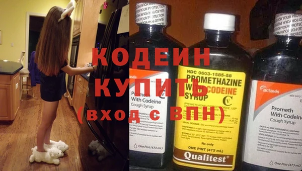 ГАЛЛЮЦИНОГЕННЫЕ ГРИБЫ Богданович