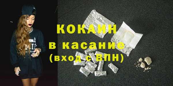 ГАЛЛЮЦИНОГЕННЫЕ ГРИБЫ Богданович