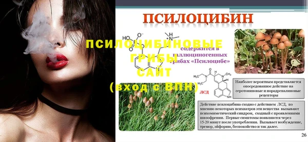 прущие грибы Бронницы