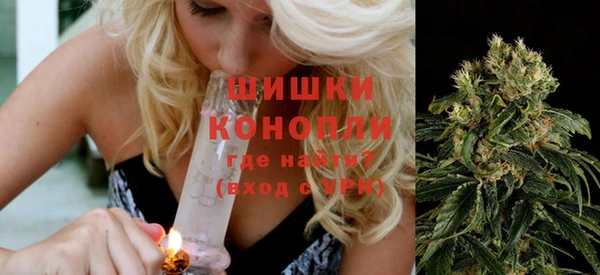 прущие грибы Бронницы
