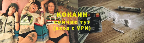 ГАЛЛЮЦИНОГЕННЫЕ ГРИБЫ Богданович