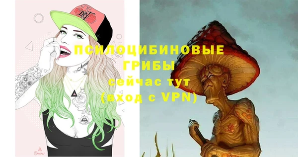 ГАЛЛЮЦИНОГЕННЫЕ ГРИБЫ Богданович