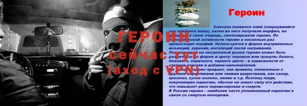 ГАЛЛЮЦИНОГЕННЫЕ ГРИБЫ Богданович
