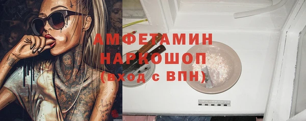 ГАЛЛЮЦИНОГЕННЫЕ ГРИБЫ Богданович