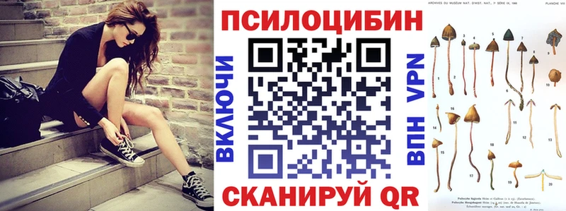 Псилоцибиновые грибы мицелий  Горячий Ключ 